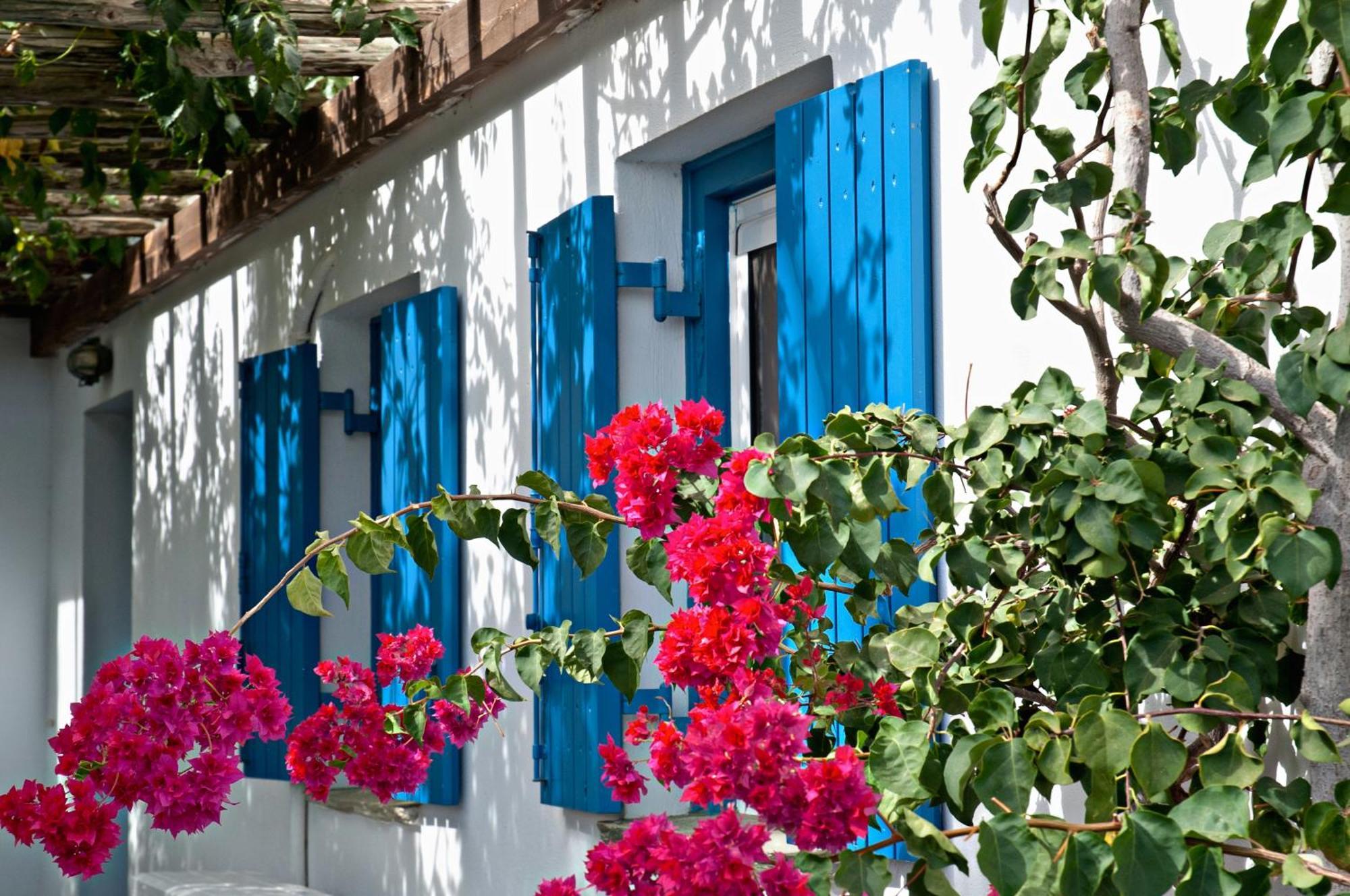 Porto Kalma Apartment Agios Ioannis (Tinos)