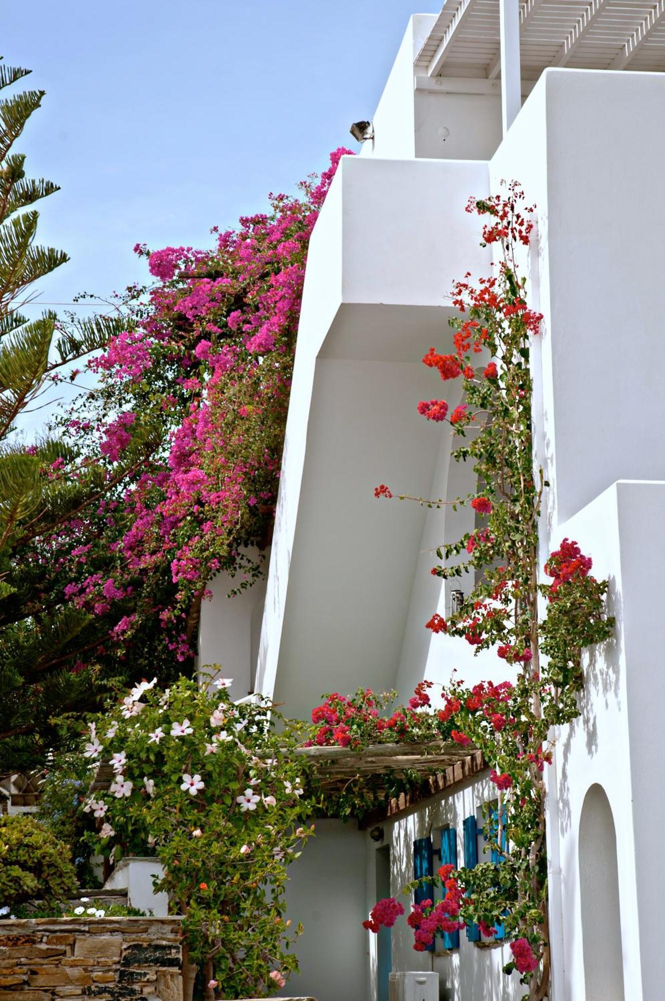 Apartment Porto Kalma *